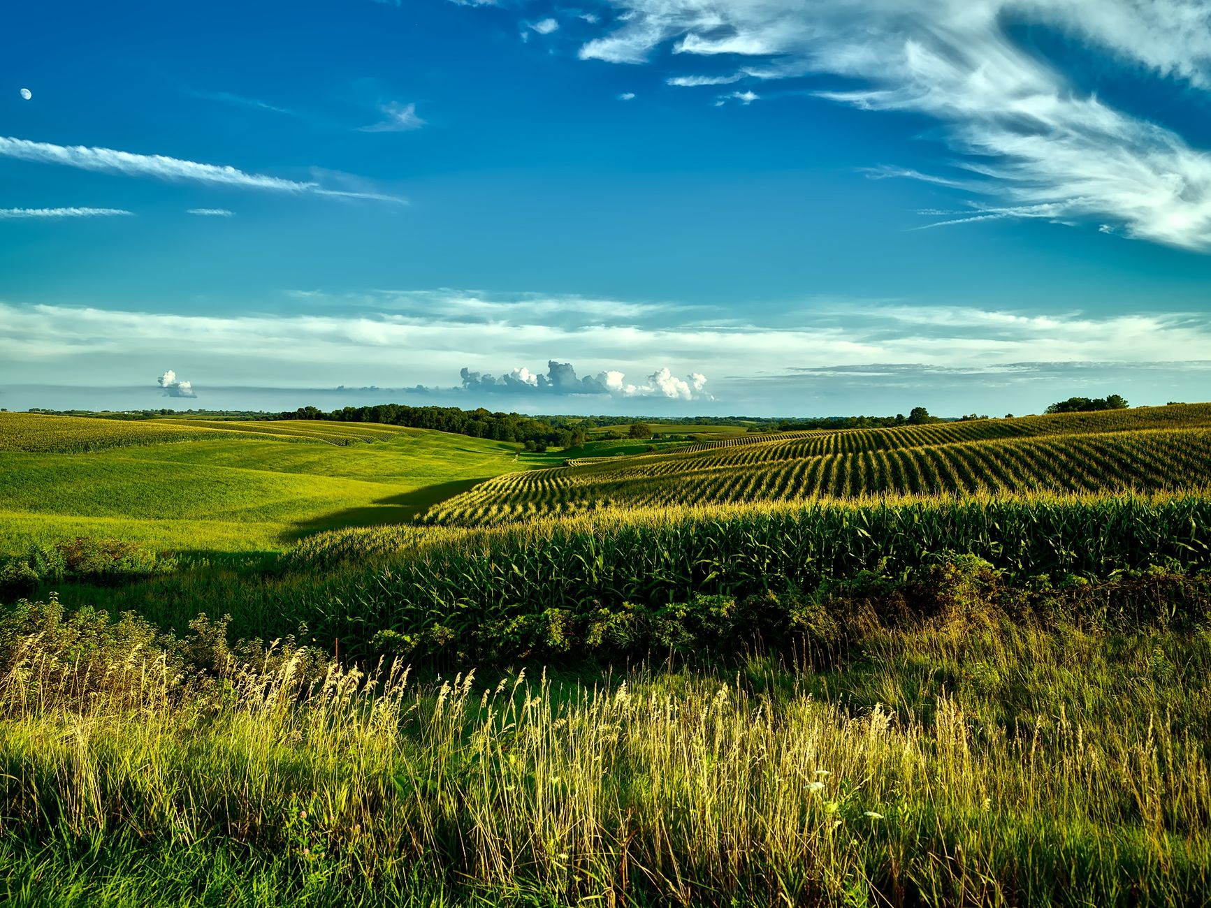 How Land Auctions Work: Should You Sell at Auction or List Privately?