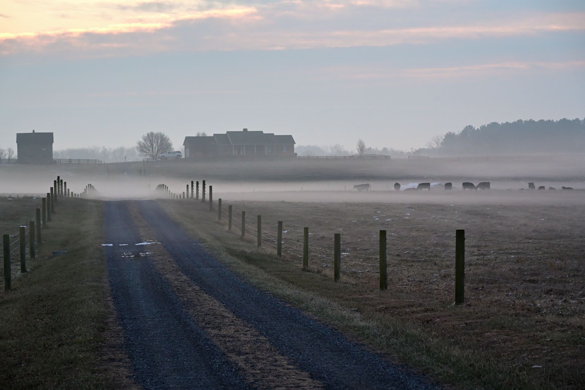 Rural Virginia Piedmont farmland and tree line, Fluvanna County landscape.