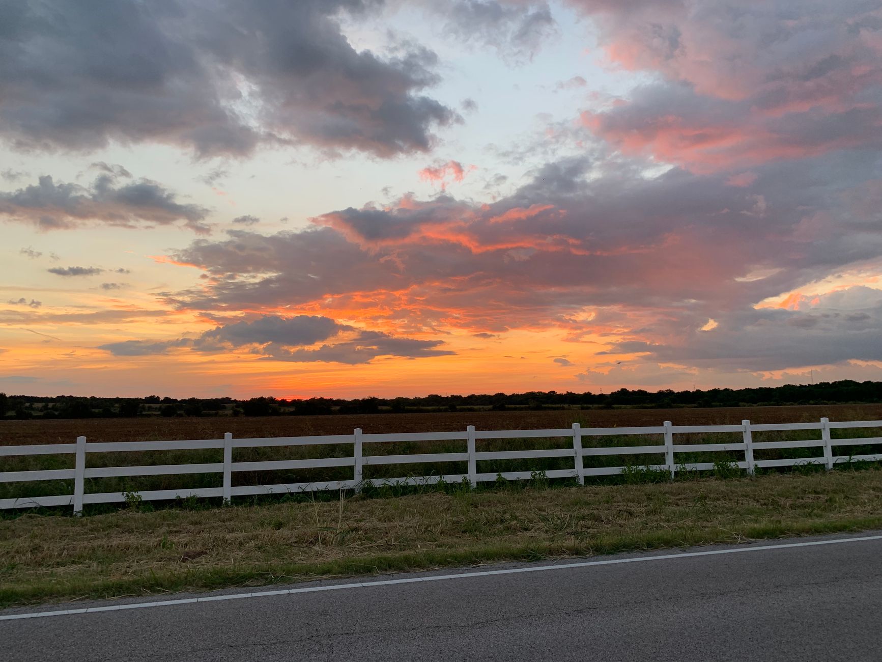 Texas cattle ranch pastureland with scattered oak trees, Washington County.