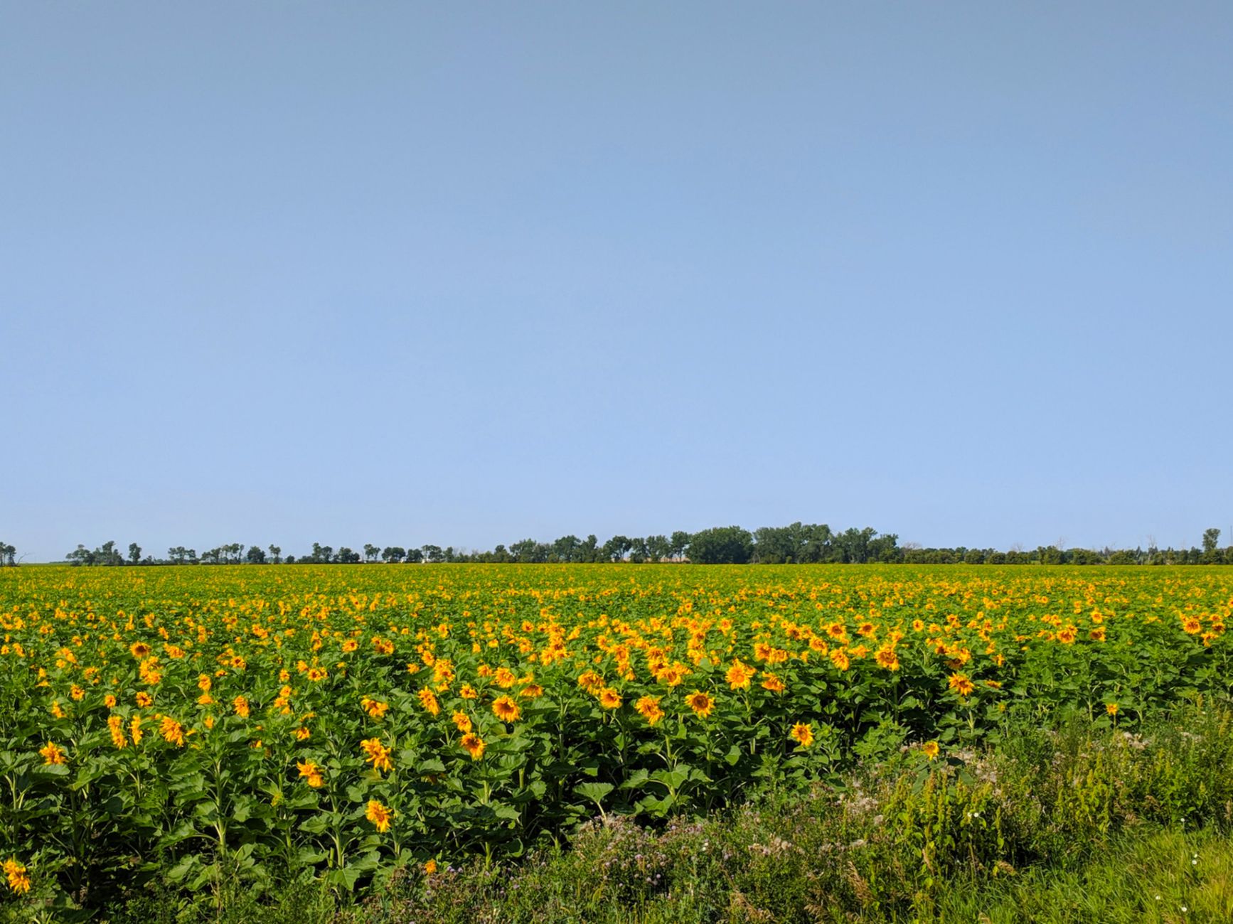 Selling Land Enrolled in CRP: What Landowners Need to Know Before You List