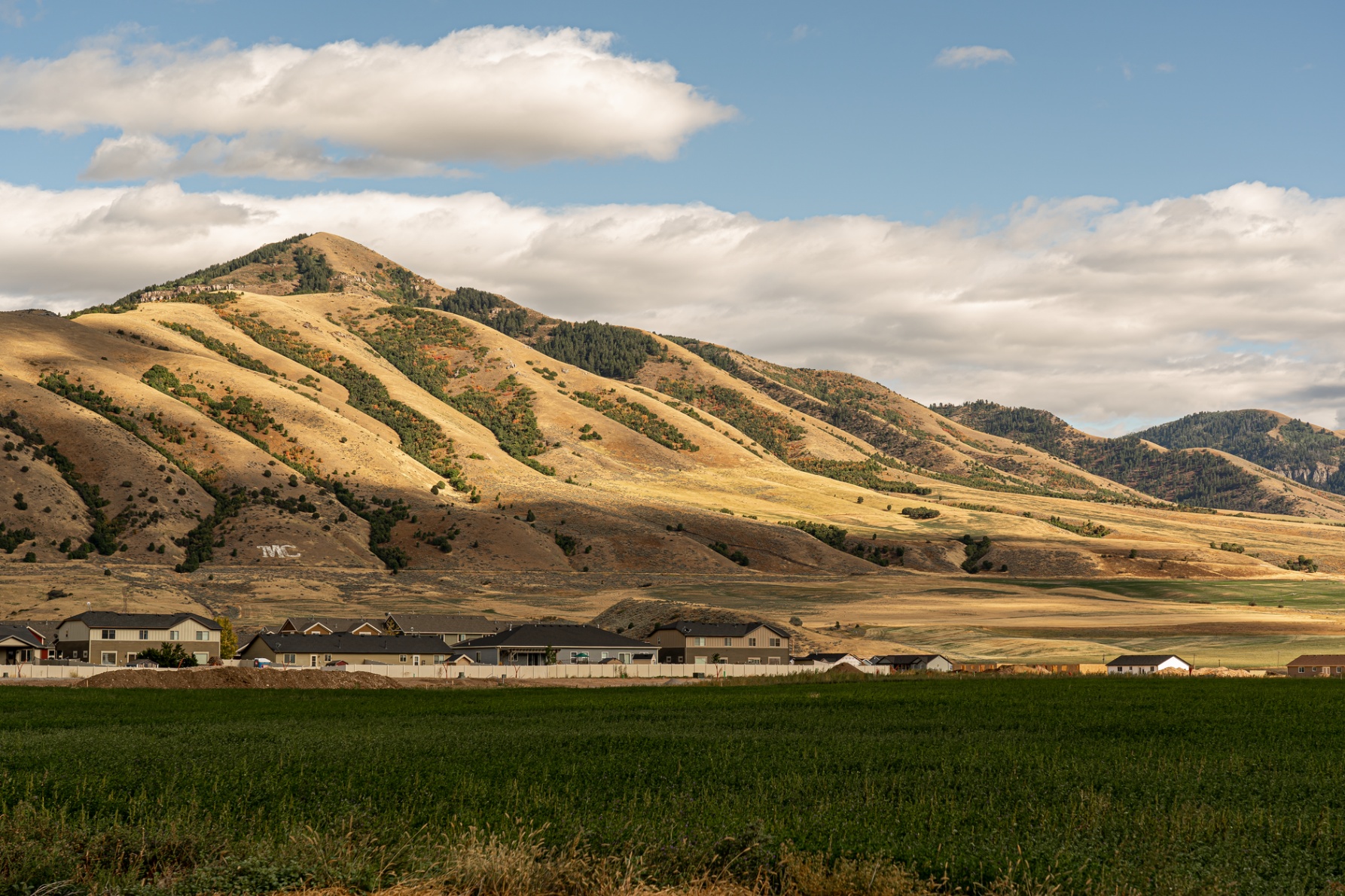 Open rural land in Utah with mountain foothills in the background at golden hour