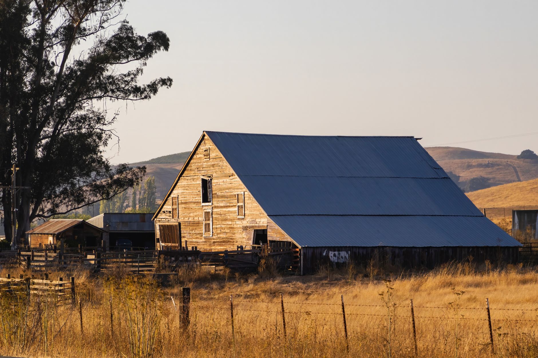 Yolo County, California farmland at golden hour with a weathered barn near Woodland