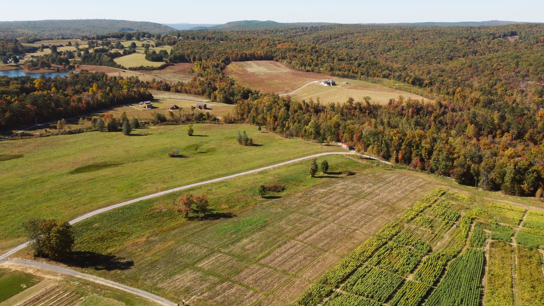 Rural West Tennessee farmland and pasture at golden hour, representative of McNairy County land.