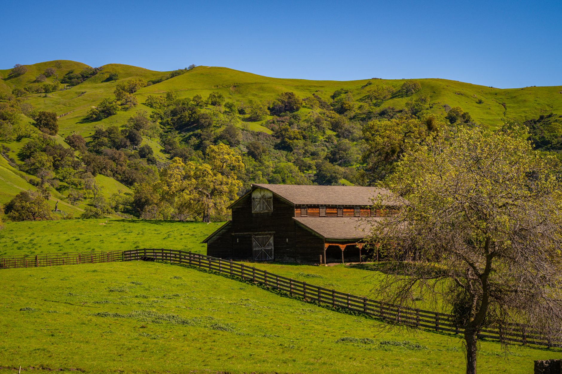 California rangeland and oak-studded hills near the Diablo Range.