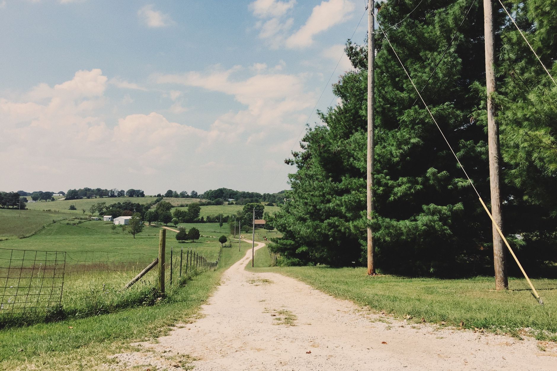 Rural hardwood forest and hill-country acreage typical of Greenup County, Kentucky.