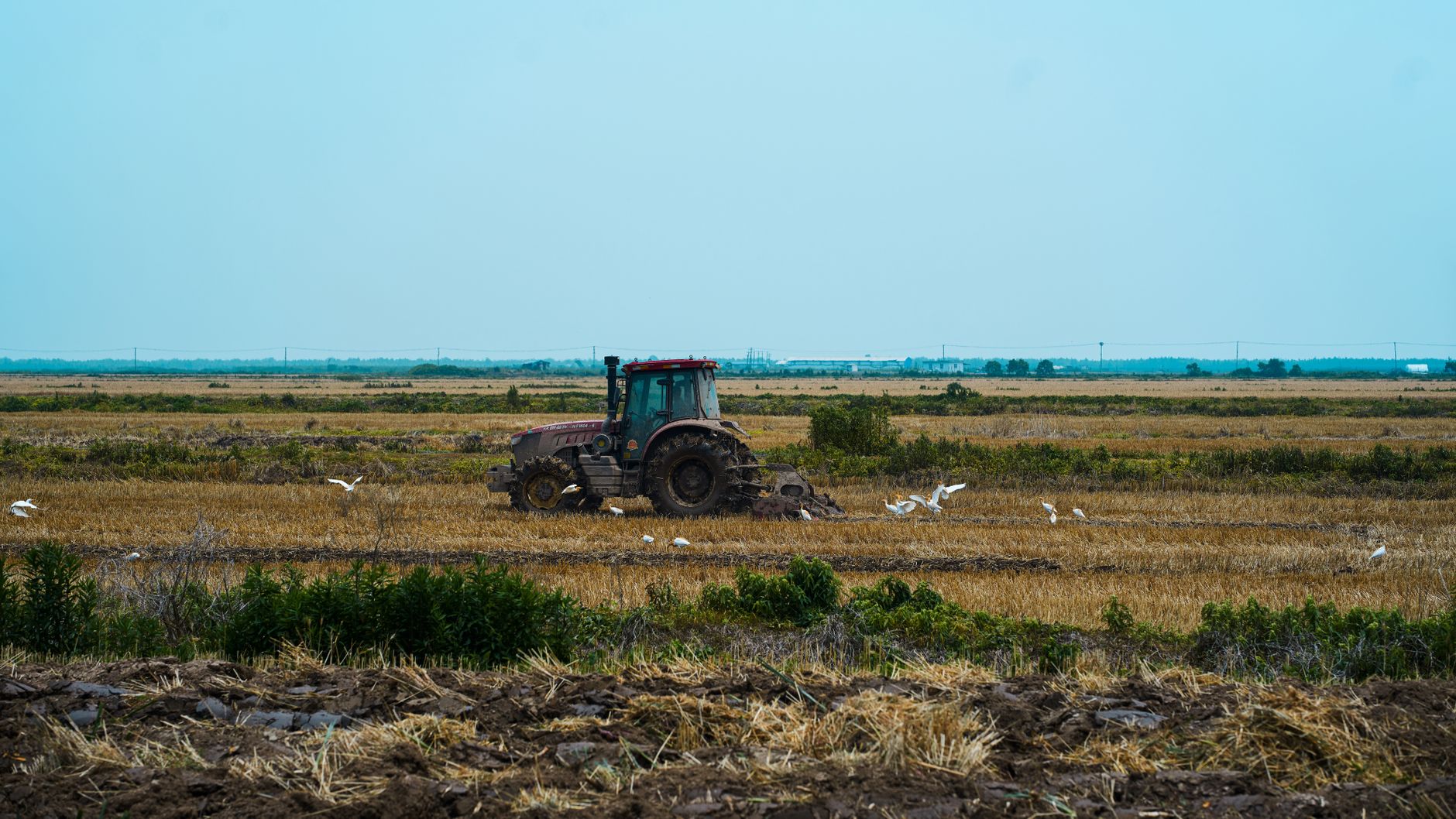 Selling Land With Wetlands: What a Wetland Delineation Means for Your Sale (and Your Price)