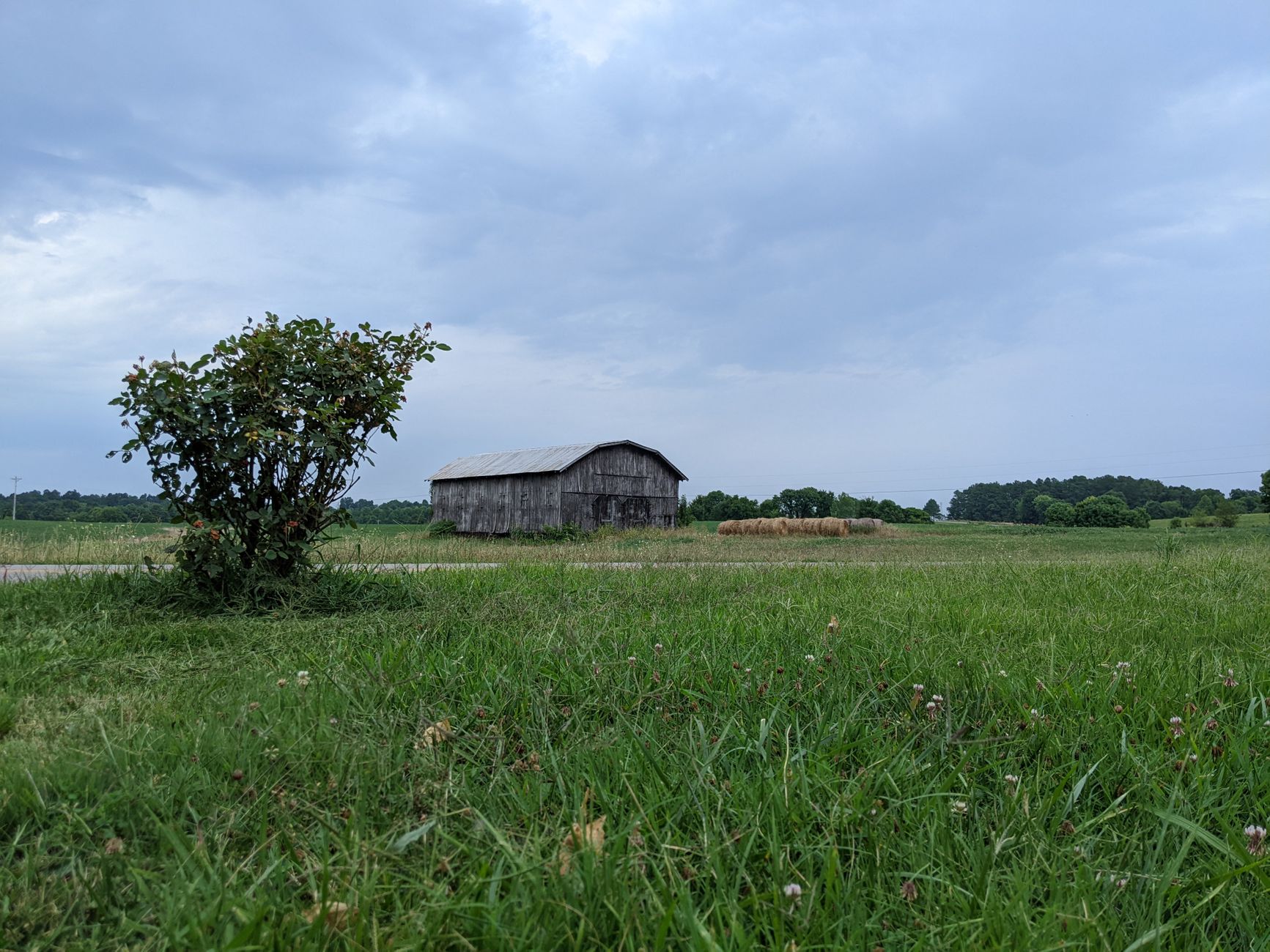 Eastern Kentucky wooded hollow land along the Levisa Fork valley.