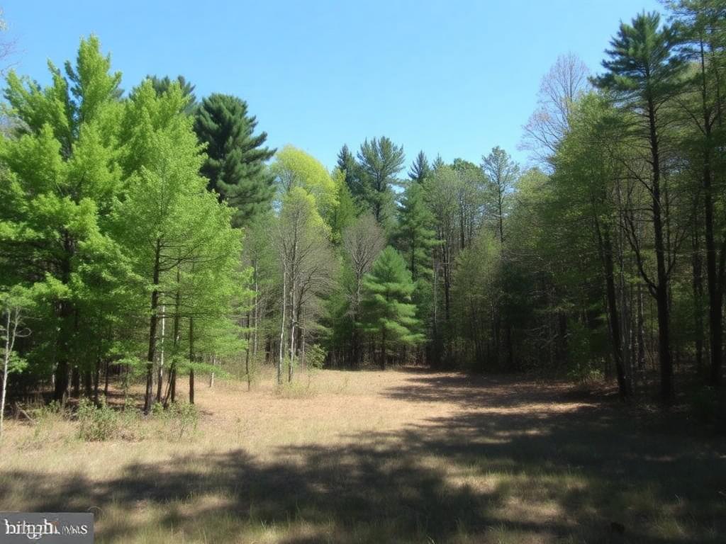 Wooded land for sale in Anne Arundel County