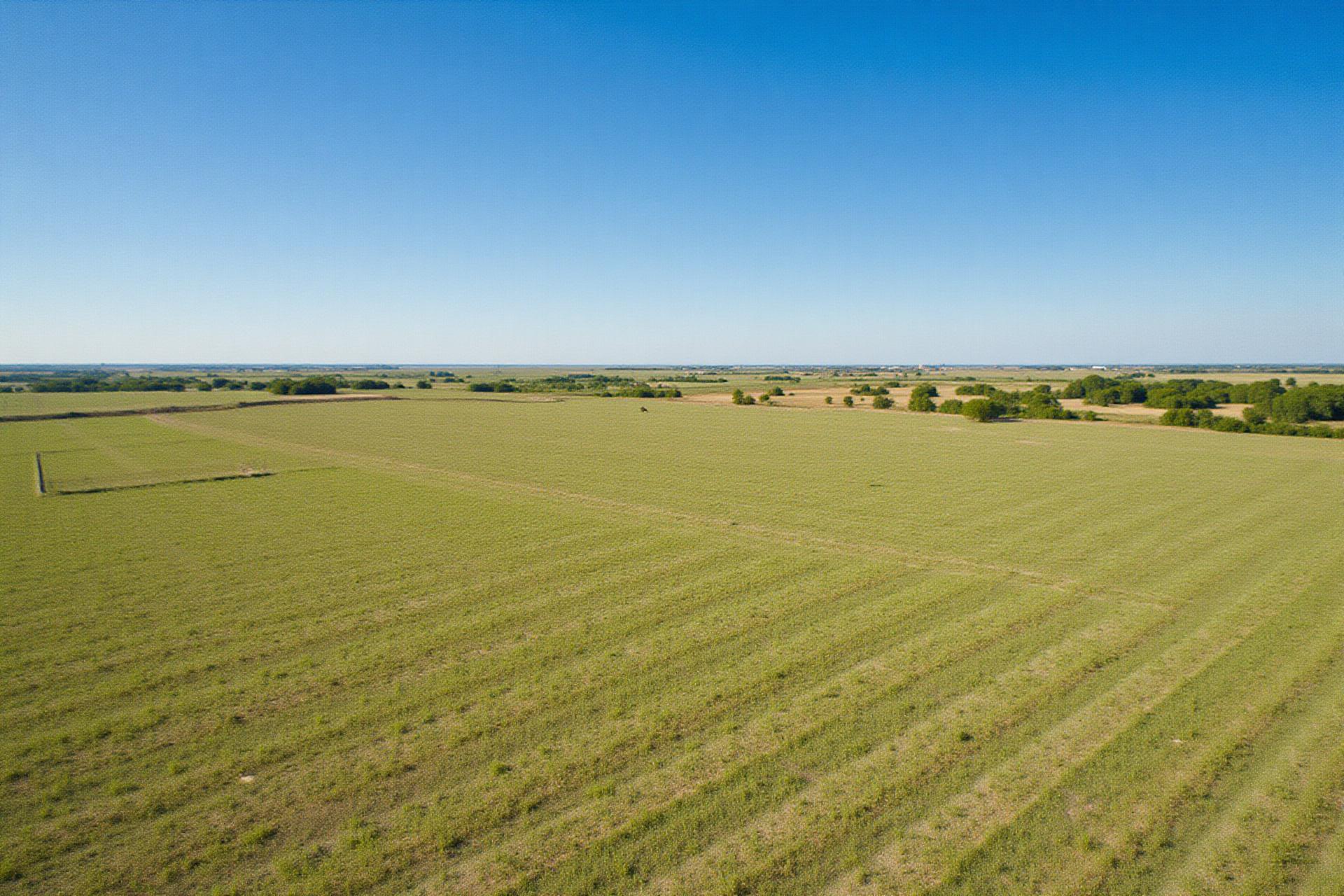 Bee County Texas farmland property