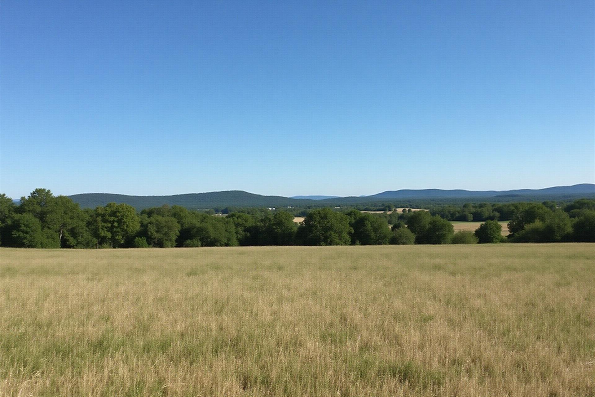 Open field land property in Benton County Arkansas