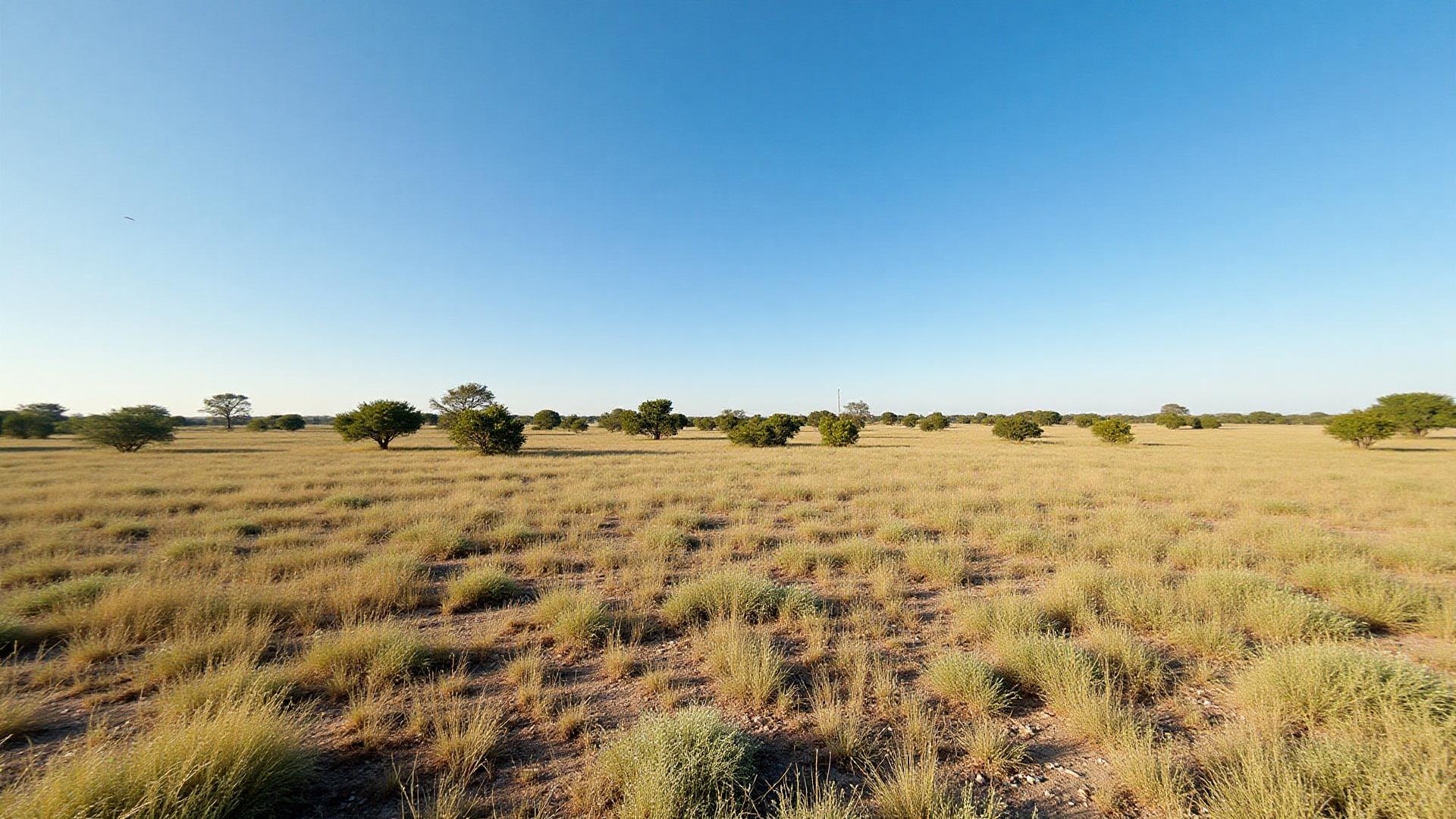 Open land in Frisco, TX ready for quick cash sale