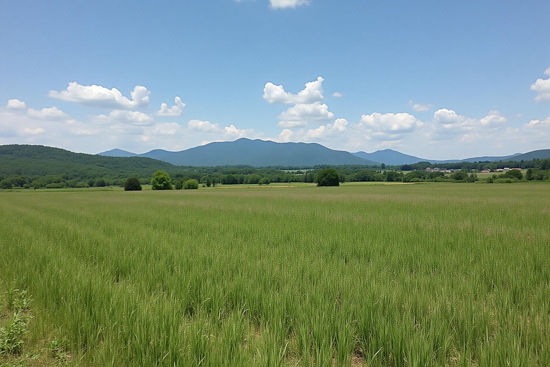 Tennessee farmland in Sevier County