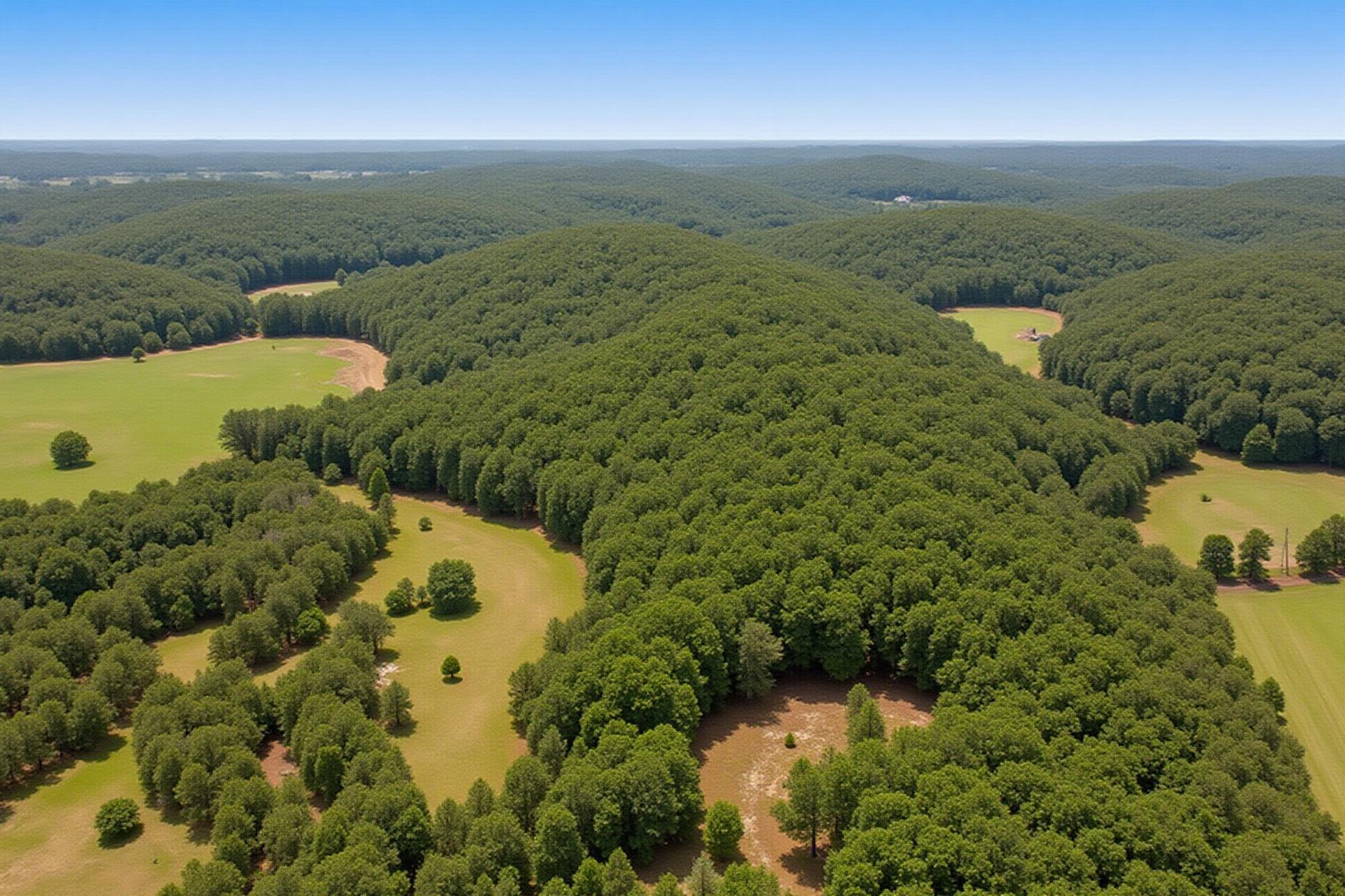 Vacant land for sale in Spalding County, Georgia